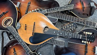 Explore the Mandolin Family Mandola Octave Mandolin Mandocello Tenor Guitar Bouzouki Etc [upl. by Duahsar]