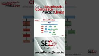 Curso de Ecocardiografía de Contraste para mi Práctica Clínica [upl. by Ahsieket551]