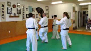 Budokan Brantford Karate 2wmv [upl. by Mccall]