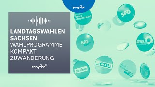 Zuwanderung – Das planen Sachsens Parteien  Podcast Wahlprogramme kompakt  MDR [upl. by Spence]