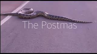 Giant Anaconda  The Postmas [upl. by Henrik]