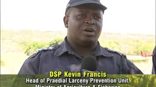 PRAEDIAL LARCENY REDUCING FARM THAFT [upl. by Eirek]