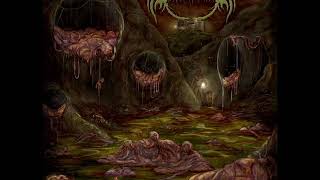 Blastomycosis  Covered In Flies and Afterbirth Full Album [upl. by Whit712]