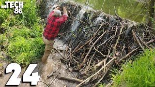 Manual Removal Of The Great Beaver Dam And A Huge Amount Of Water  Beaver Dam Removal No24 [upl. by Odette590]