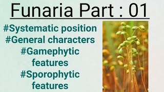 FunariaPart01General charactersGametophytic and sporophytic stage [upl. by Atwater253]