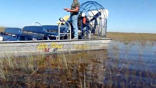 Los Everglades pantano de florida con el Paliño y el tio Wiwi [upl. by Elvin]