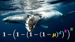 Why dont whales get more cancer  Petos Paradox [upl. by Heti]