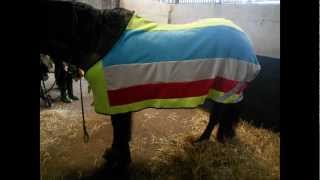 Home Made Full Sized Horse Rug [upl. by Aramat]