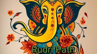 Rudri Path Adhyaya  Rudri  Vedic Mantra Vedic Education [upl. by Aralc]