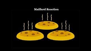 Maillard Reaction [upl. by Trahern]