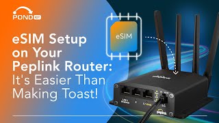 Mastering Peplink Router eSIM A StepbyStep Guide [upl. by Noryb]