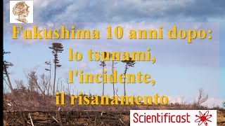 Fukushima 10 anni dopo  Lo tsunami Lincidente Il risanamento Workshop SIPS 3 [upl. by Asirrac]