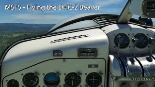 MSFS  Flying the DHC2 Beaver [upl. by Airuam324]