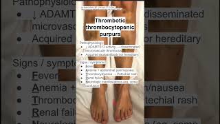 Thrombotic thrombocytopenic purpura TTP [upl. by Shurlock54]