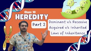 Class X Heredity Part 2 Traits and Laws of Inheritance [upl. by Lewak]