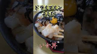 ドライブインよしだのイカ丼を食べます Drivein Yoshidas squid bowl Short [upl. by Vitia862]