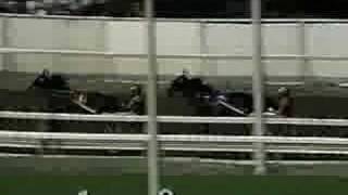 1989 Hambletonian Park Avenue JoeProbe DH [upl. by Campy]