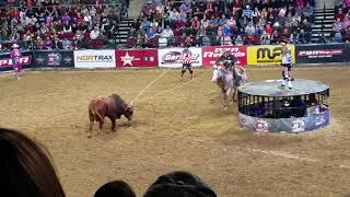 PBR  Professional Bull Riders 2018 Bangor ME roping a bull [upl. by Ozne110]