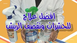 اعمل اية مع الطيور في الحر الشديد علاج ريش الطيور من الحشرات والتقصفالقضاء علي الفاش [upl. by Cirde]