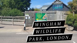 WINGHAM WILDLIFE PARK A ZOO YOU SHOULD VISIT IN LONDON [upl. by Avahc]