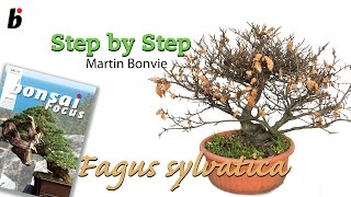 STEP BY STEP FAGUS SYLVATICA [upl. by Ihcelek]