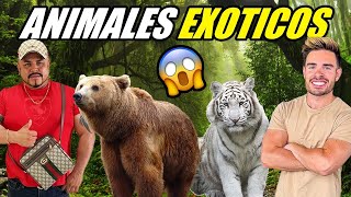 ANIMALES EXOTICOS CON LA FAMILIA MILLONARIA 🐯🐅 [upl. by Pauletta597]