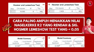 Cara paling ampuh menaikkan nilai Nagelkerke R Square dan Hosmer Lemeshow test data sekunder Part 1 [upl. by Demakis]