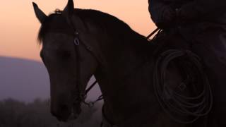 Close Up Shot Of Cowboys And Horses At Sunset Slow Motion Ultra HD amp 4K [upl. by Eleik]