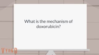 What is the mechanism of doxorubicin [upl. by Namwob788]