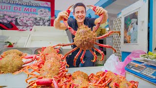 Morocco Street Food 🇲🇦 SPIDER CRAB  Best Moroccan Food in Casablanca [upl. by Jermaine]