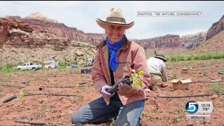 Cattle ranchers scientists work side by side to keep Utah ranch alive [upl. by Theobald859]