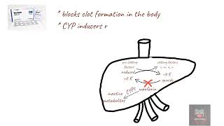 DRUGS THAT REDUCE WARFARIN EFFECTS MNEMONIC [upl. by Naig]