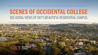 Scenes of Occidental [upl. by Elnora]