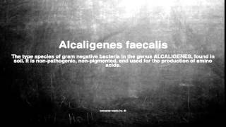 Medical vocabulary What does Alcaligenes faecalis mean [upl. by Driscoll870]