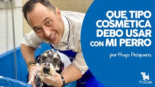 Curso de Peluquería Canina en Casa ¡Hazlo tú mismo [upl. by Jar]