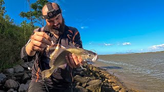 Fishing And Exploring The Burdekin River [upl. by Crenshaw]