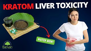 Kratom Liver Toxicity [upl. by Loughlin]