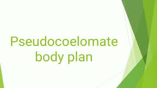 Pseudocoelomate body plan [upl. by Bijan]