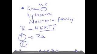 Medical Video Lecture Moraxella catarrhalis Microbiology [upl. by Helenka]