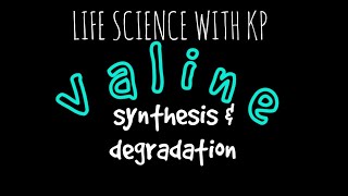 VALINE Synthesis amp DegradationVlog 6 [upl. by Coppock]