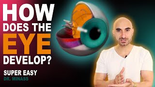 Embryology of the Eye Easy to Understand [upl. by Teerell863]