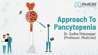 Approach to Pancytopenia by Dr Sudha Vidyasagar Professor Medicine [upl. by Nolitta381]