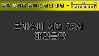 공개수배 사건 25시 브금 BGM [upl. by Bagger]