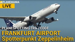 Planespotting LIVE Frankfurt Airport Spotterpunkt Zeppelinheim [upl. by Roxi705]