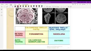 Marine Sediments Part 1 [upl. by Derfnam]