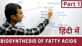 Fatty acid synthesis in Hindi  Part 1 [upl. by Austin]