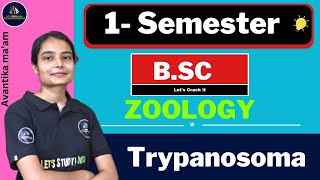 Trypanosoma  BSc Zoology 1st Semester  Avantika Maam [upl. by Carnes]