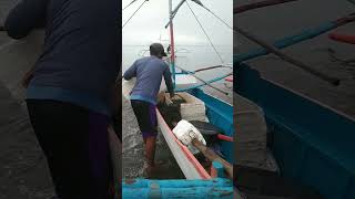 fishermans life shortvideo [upl. by Anahir]