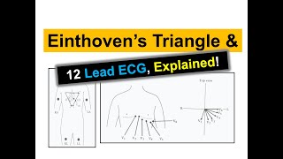 What does Einthovens Triangle entail and what is the process for creating a 12Lead ECG [upl. by Emlyn47]