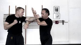 Kwan Sao and Kan Sao  two handed double gate blocks of Wing Chun [upl. by Cirdek]